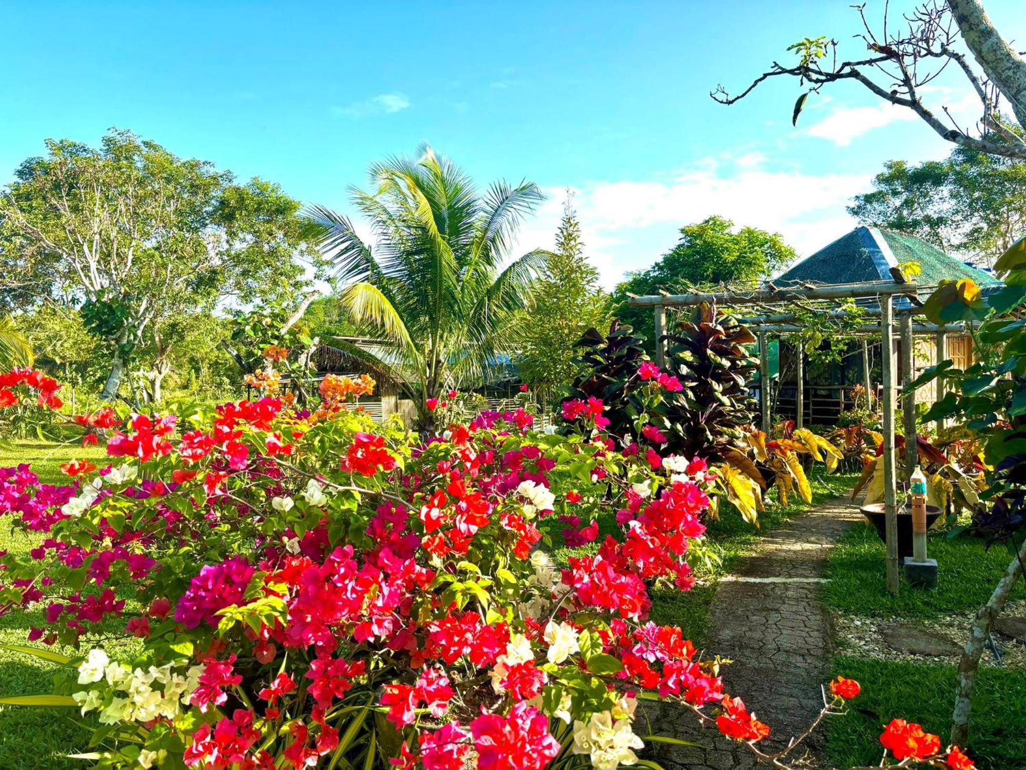 Camelo Farm Hotel Bilar Exterior photo